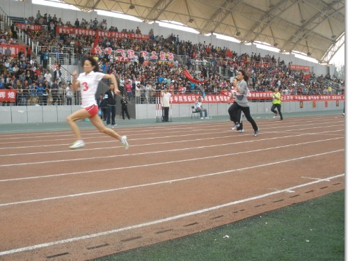 ����ѡ�����ڽ��б���