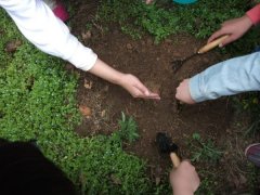 еѧԺ2013ҵưջŸ壨2