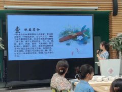 海棠4号书院开展传统文化“茶渍画扇”主题课程